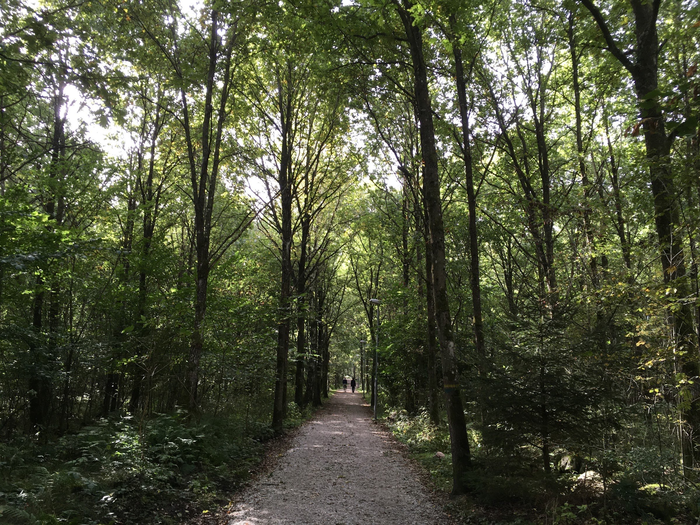 Skrylle naturreservat